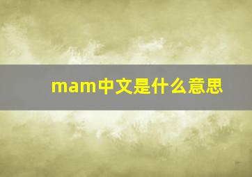 mam中文是什么意思