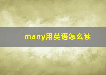 many用英语怎么读