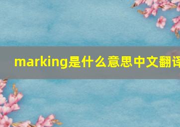 marking是什么意思中文翻译