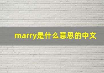 marry是什么意思的中文