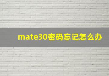 mate30密码忘记怎么办