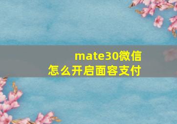 mate30微信怎么开启面容支付