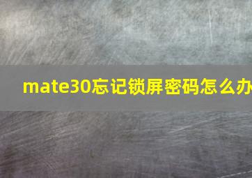 mate30忘记锁屏密码怎么办