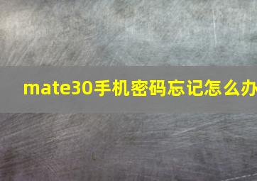 mate30手机密码忘记怎么办