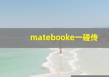 matebooke一碰传