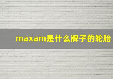 maxam是什么牌子的轮胎