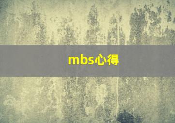 mbs心得