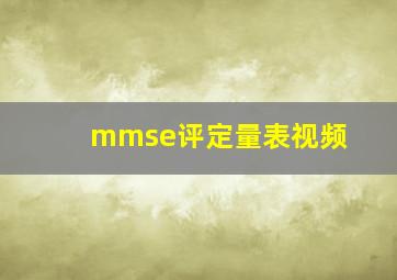 mmse评定量表视频