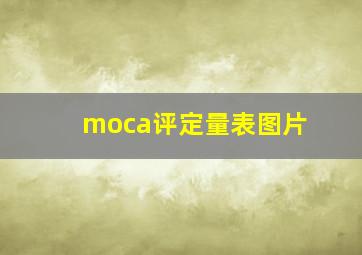 moca评定量表图片