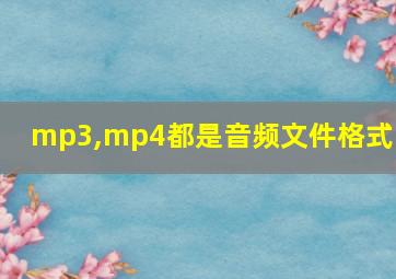 mp3,mp4都是音频文件格式吗