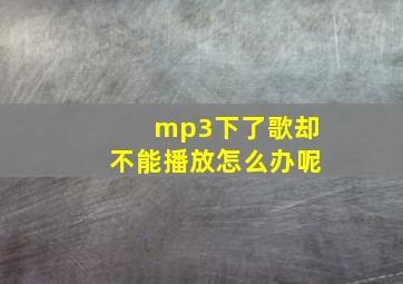 mp3下了歌却不能播放怎么办呢