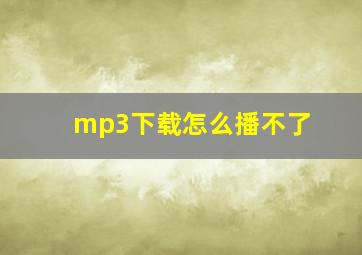 mp3下载怎么播不了