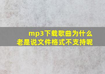 mp3下载歌曲为什么老是说文件格式不支持呢