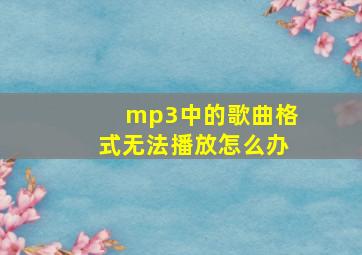 mp3中的歌曲格式无法播放怎么办