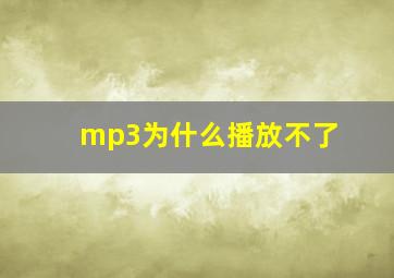 mp3为什么播放不了