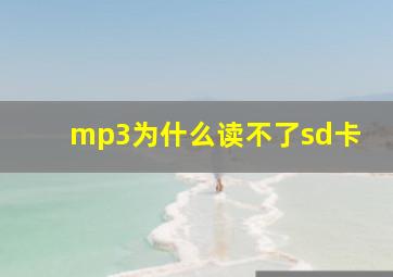 mp3为什么读不了sd卡