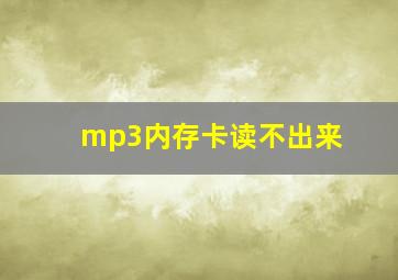 mp3内存卡读不出来