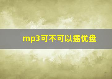 mp3可不可以插优盘