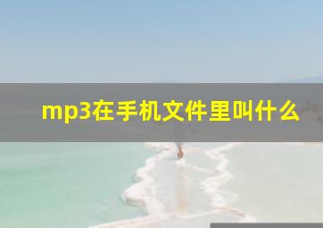 mp3在手机文件里叫什么