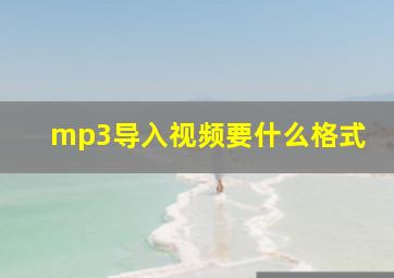 mp3导入视频要什么格式