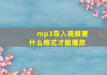 mp3导入视频要什么格式才能播放