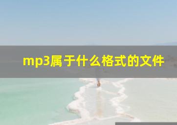 mp3属于什么格式的文件