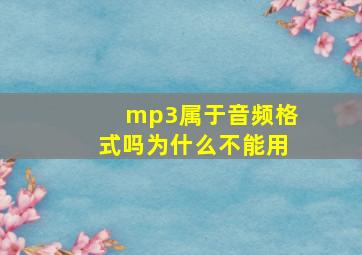 mp3属于音频格式吗为什么不能用