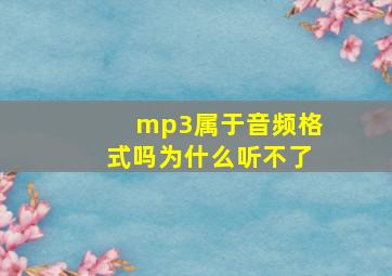 mp3属于音频格式吗为什么听不了