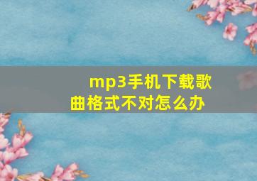 mp3手机下载歌曲格式不对怎么办