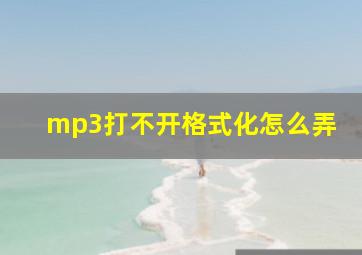 mp3打不开格式化怎么弄