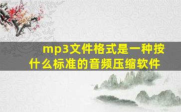 mp3文件格式是一种按什么标准的音频压缩软件