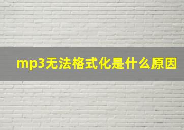 mp3无法格式化是什么原因