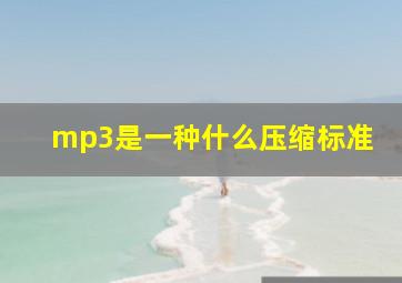 mp3是一种什么压缩标准