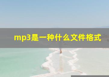 mp3是一种什么文件格式