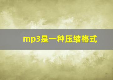 mp3是一种压缩格式