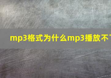 mp3格式为什么mp3播放不了