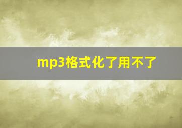 mp3格式化了用不了