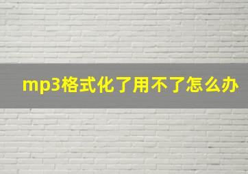 mp3格式化了用不了怎么办