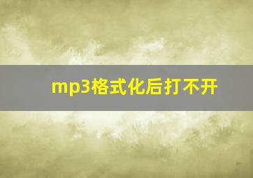 mp3格式化后打不开