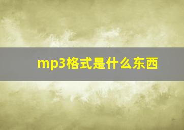 mp3格式是什么东西