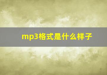 mp3格式是什么样子