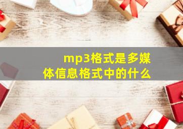 mp3格式是多媒体信息格式中的什么