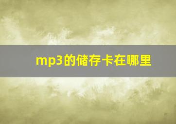 mp3的储存卡在哪里