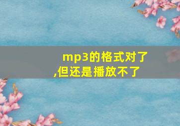 mp3的格式对了,但还是播放不了