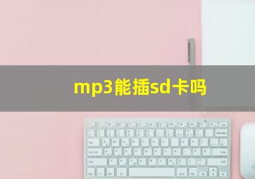 mp3能插sd卡吗