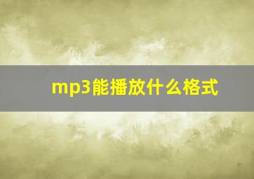 mp3能播放什么格式