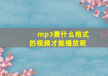 mp3要什么格式的视频才能播放呢