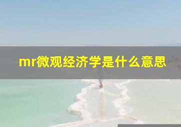 mr微观经济学是什么意思