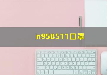 n958511口罩