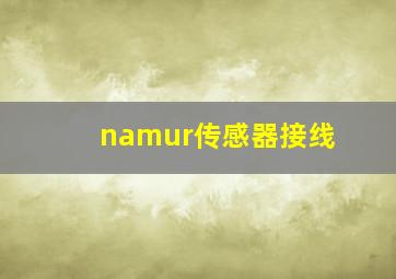 namur传感器接线